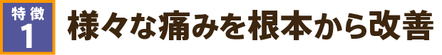 様々な痛みを根本から改善